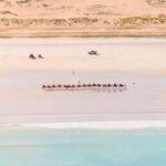 Broome: Cliffs & Coast 60 minute Scenic Helicopter Flight - Why This Tour Is Worth Considering
