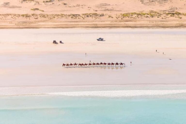 Broome: Cliffs & Coast 60 minute Scenic Helicopter Flight - Why This Tour Is Worth Considering