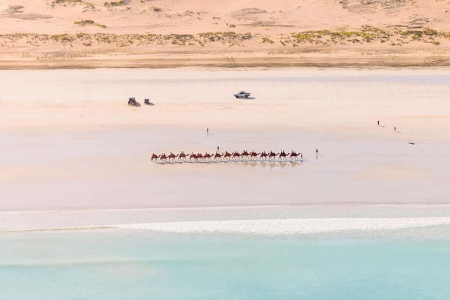 Broome: Cliffs & Coast 60 minute Scenic Helicopter Flight - Why This Tour Is Worth Considering