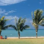Broome: Half-Day Beach and Sunset Tour - The Value of This Tour