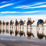 Broome Pre-sunset Camel Tour 30 minutes - The Sum Up