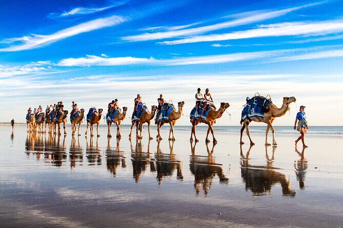 Broome Pre-sunset Camel Tour 30 minutes - The Sum Up