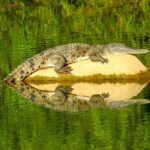 Broome to Darwin: 10 Day Kimberley Tour - Authentic Moments Shared by Reviewers