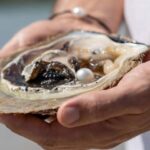 Broome: Treasures of Broome Pearlers Choice Tour - Is the Price Justified?