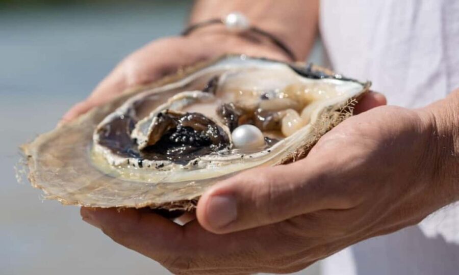 Broome: Treasures of Broome Pearlers Choice Tour - Is the Price Justified?