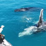 Broome: Whale Watching & Sunset Cruise - Frequently Asked Questions