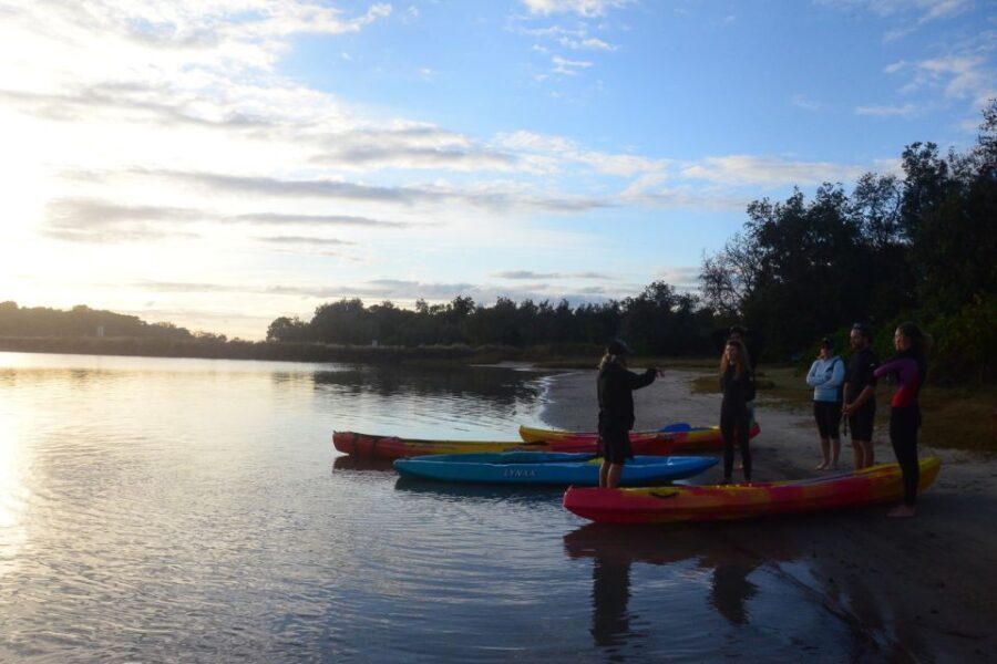 Brunswick Heads: Brunswick River Sunset Kayak Tour - What to Expect on the Brunswick River Sunset Kayak Tour