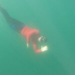 Bunbury: Swim with Dolphins Tour - Who Will Love This Tour?