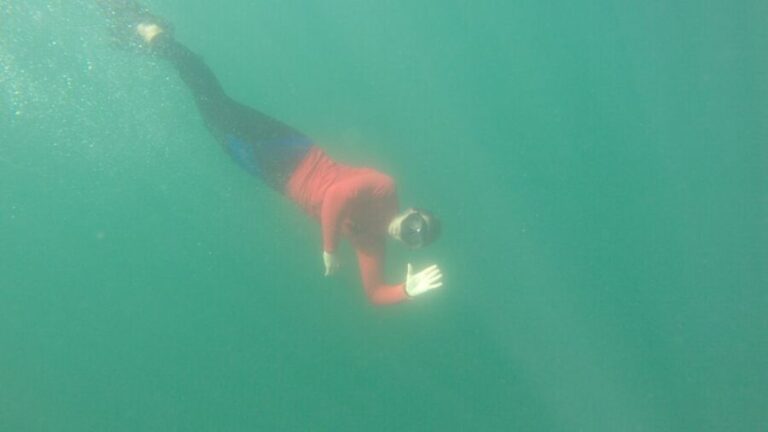 Bunbury: Swim with Dolphins Tour - Who Will Love This Tour?