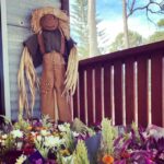 Bundaberg: Family-Friendly Entry Ticket to Splitters Farm - The Details: Pricing, Duration, and Accessibility