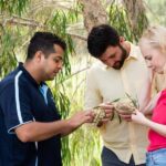 Bundaberg: Half Day Indigenous Experience with Morning Tea - The Itinerary Breakdown