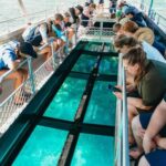Bundaberg: Lady Musgrave Island and Great Barrier Reef Tour - What Makes This Tour Stand Out