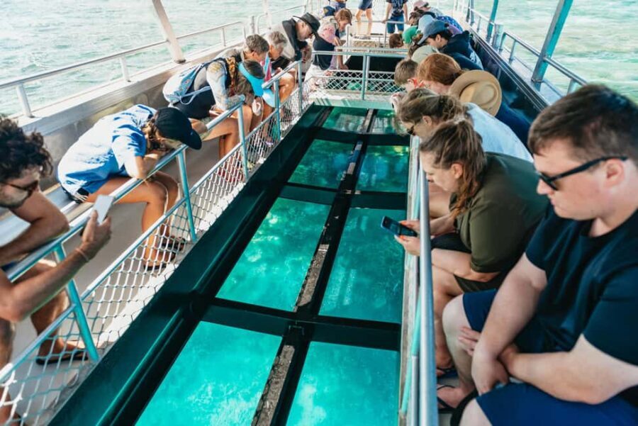 Bundaberg: Lady Musgrave Island and Great Barrier Reef Tour - What Makes This Tour Stand Out