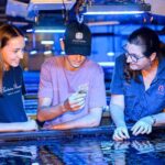 Bundaberg: Monsoon Aquatics Coral Farm Guided Tour - What to Expect on the Tour