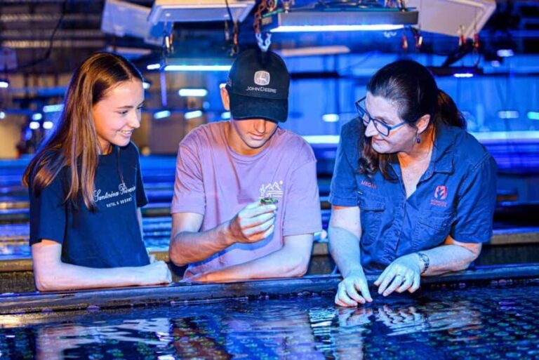 Bundaberg: Monsoon Aquatics Coral Farm Guided Tour - What to Expect on the Tour