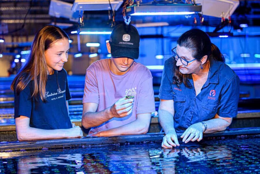 Bundaberg: Monsoon Aquatics Coral Farm Guided Tour - What to Expect on the Tour