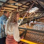 Bundaberg Rum Behind The Scenes Distillery Tour And Museum Experience - The Authentic Experience and Why it Matters