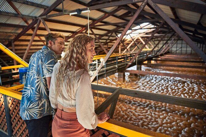 Bundaberg Rum Behind The Scenes Distillery Tour And Museum Experience - The Authentic Experience and Why it Matters