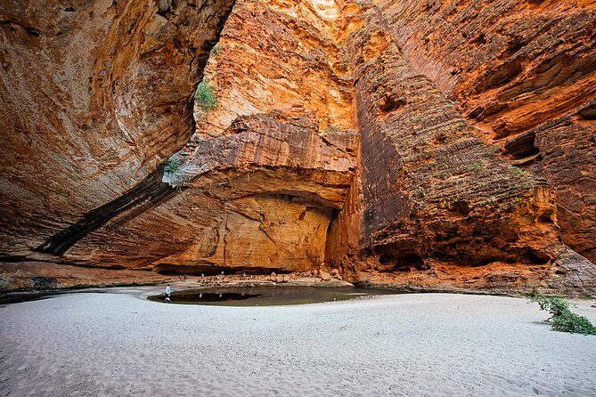 Bungle Bungle Scenic Flights, Domes & Cathedral Gorge Walk - Value and Practicalities