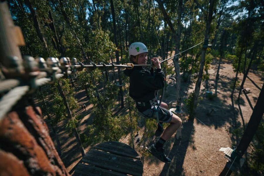 Busselton: Forest Adventure with Zip Lining and Rope Course - The Sum Up