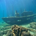 Busselton: Jetty Snorkeling Tour with Underwater Sculptures - Who Will Love This Tour?