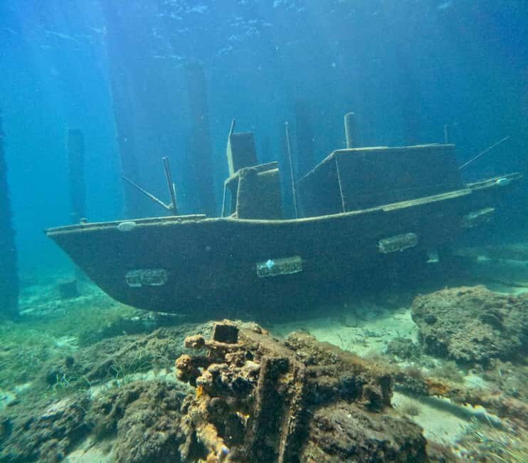 Busselton: Jetty Snorkeling Tour with Underwater Sculptures - Who Will Love This Tour?