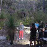 Busselton: Nocturnal Animal Tour - The Value of This Tour: Is It Worth It?