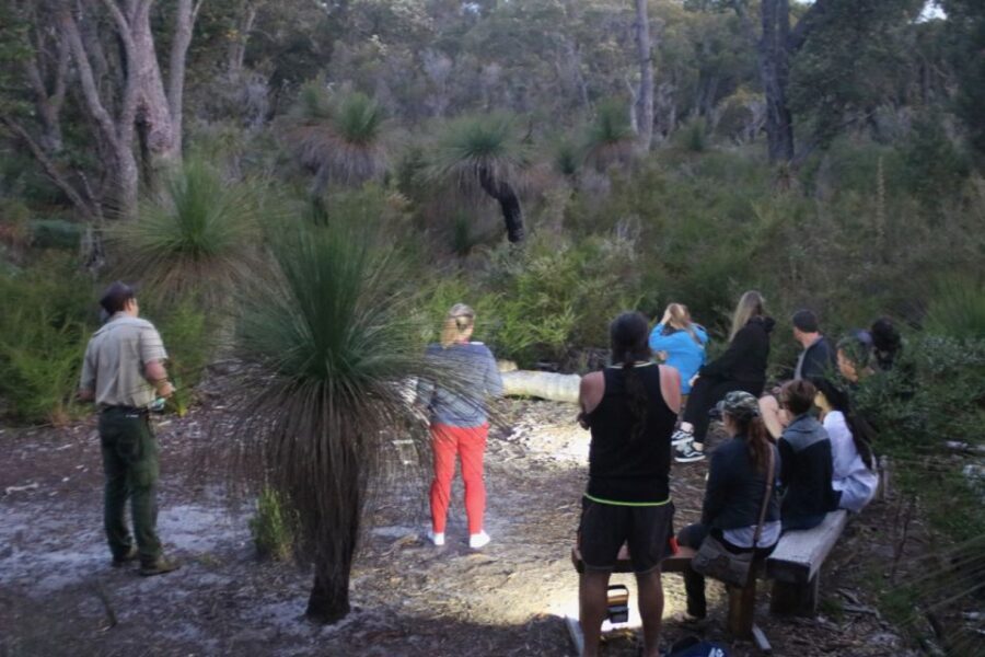 Busselton: Nocturnal Animal Tour - The Value of This Tour: Is It Worth It?