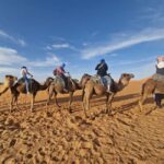 BY GROUP 2-Day Tour From Fes to Fes - Merzouga Luxury camps - FAQ