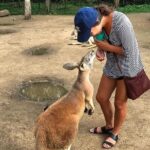 Byron Bay and Currumbin Wildlife Sanctuary Day Tour - Final Thoughts: Is It Worth It?