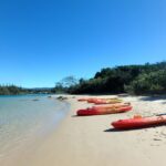 Byron Bay: Brunswick River Scenic Kayak Tour - Why This Tour Fits the Right Traveler