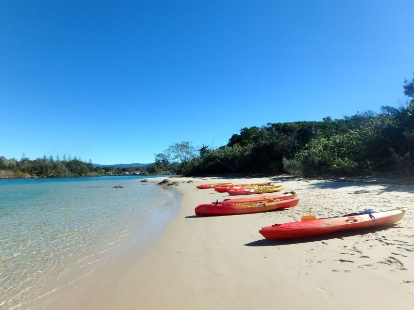 Byron Bay: Brunswick River Scenic Kayak Tour - Why This Tour Fits the Right Traveler