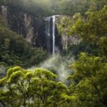 Byron Bay: Glowworms, Waterfalls & Rainforest Experience - Who Is This Tour Best For?