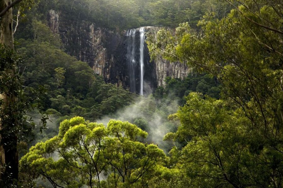Byron Bay: Glowworms, Waterfalls & Rainforest Experience - Who Is This Tour Best For?