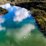 Byron Bay: Group 2.5 Hour Stand-Up Paddle Board Tour - What You Can Expect from the Tour