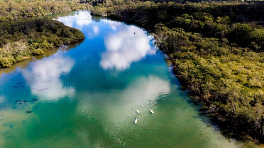 Byron Bay: Group 2.5 Hour Stand-Up Paddle Board Tour - What You Can Expect from the Tour