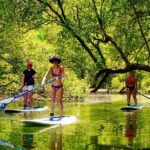 Byron Stand Up Paddle Nature Tour - The Itinerary: What Can You Expect?