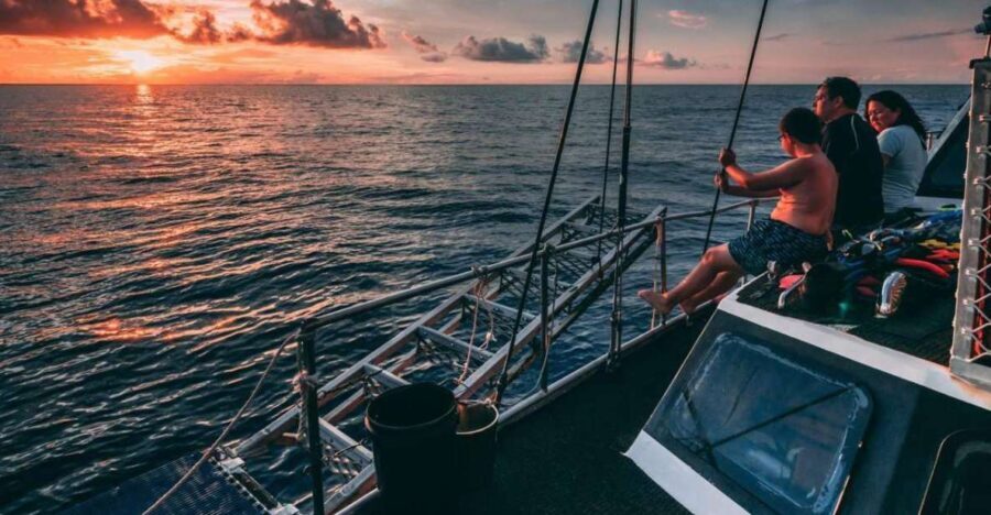 Cairns: 2-Day Great Barrier Reef Dive and Snorkel Boat Trip - The Itinerary: What to Expect Day by Day