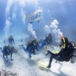 Cairns: 4-Day PADI Open Water Course - Authentic Experiences and Insights from Participants