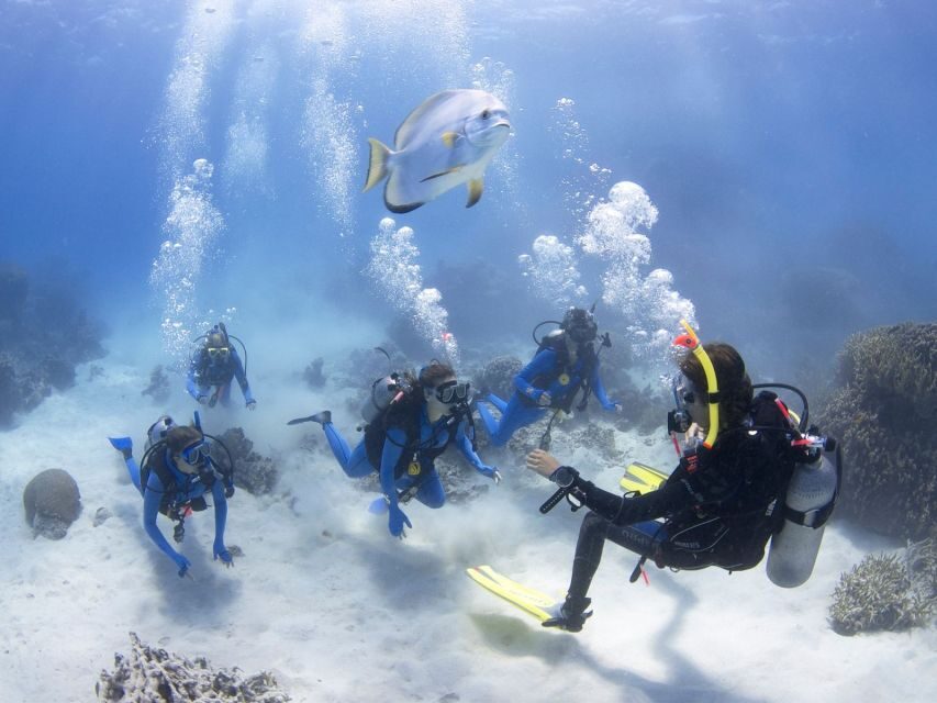 Cairns: 4-Day PADI Open Water Course - Authentic Experiences and Insights from Participants