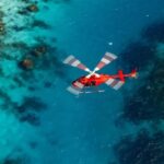 Cairns: 60 minute Scenic Flight Over the Reef & Rainforest - Authentic Insights from Reviews
