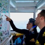 Cairns: All-Inclusive Great Barrier Reef Half-Day Snorkeling - Frequently Asked Questions