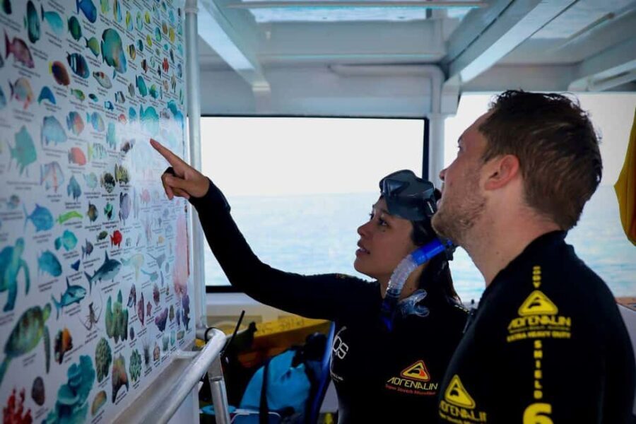 Cairns: All-Inclusive Great Barrier Reef Half-Day Snorkeling - Frequently Asked Questions