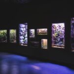Cairns Aquarium General Admission Ticket - Exploring the Cairns Aquarium: A Detailed Review