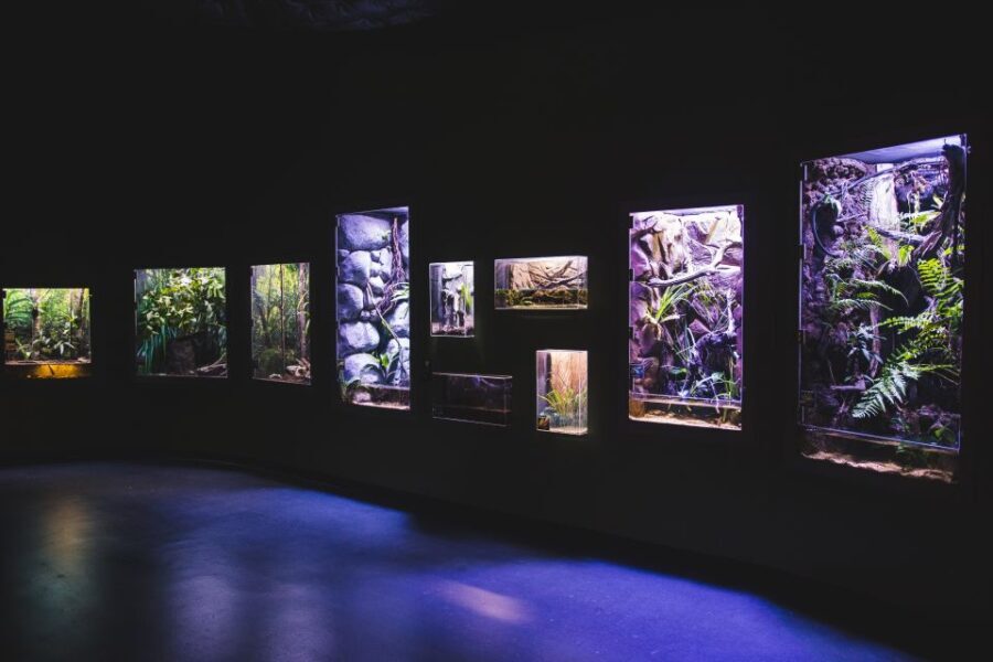 Cairns Aquarium General Admission Ticket - Exploring the Cairns Aquarium: A Detailed Review