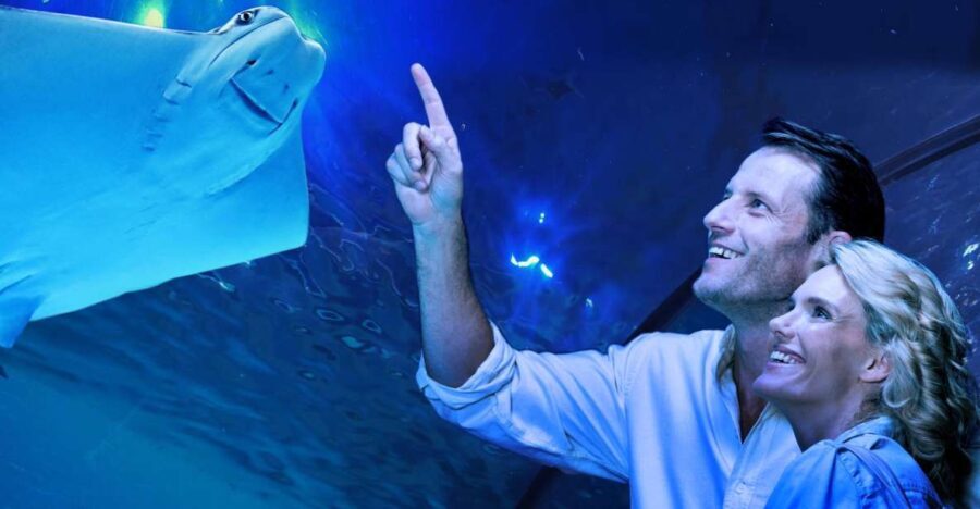 Cairns: Aquarium Guided Twilight Tour with 3-Course Dinner - Why This Tour Works Well for Travelers