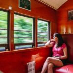 Cairns: Best of the Kuranda Rainforest Full-Day Tour & Lunch - The Itinerary in Detail: What to Expect