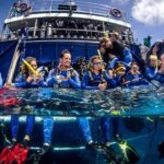Cairns: Best Value All-inclusive Reef Trip With Scuba Dive - Reef Stops: What to Expect at Each Site