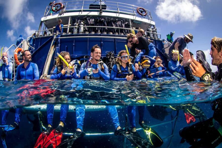 Cairns: Best Value All-inclusive Reef Trip With Scuba Dive - Reef Stops: What to Expect at Each Site