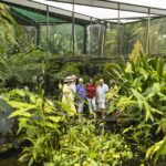 Cairns: Cairns City Sights & Surrounds Half Day Tour - Practical Details and Value